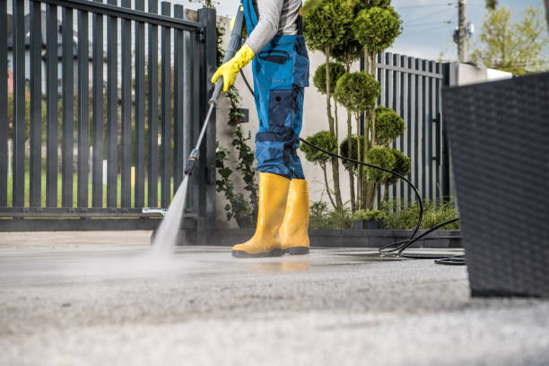Best Animal Enclosure Cleaning  in Ben Wheeler, TX