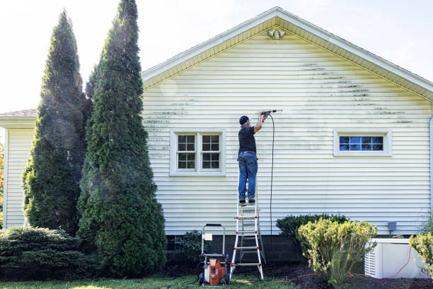 Professional Pressure Washing in Ben Wheeler, TX