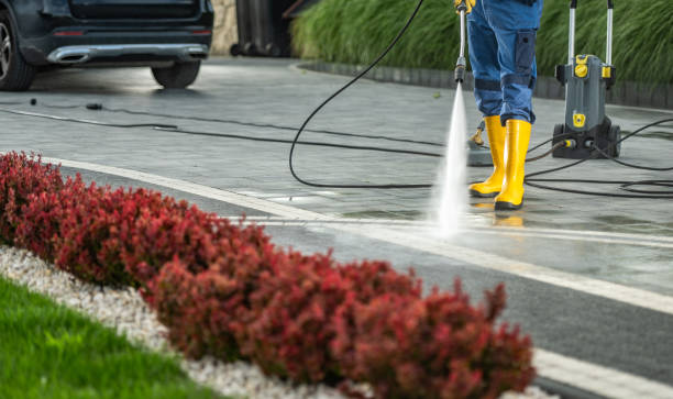 Best Warehouse Cleaning  in Ben Wheeler, TX
